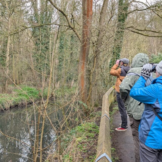 Wildlife Ways: New Funding to Help Communities and Nature Thrive Along the Ouse Burn