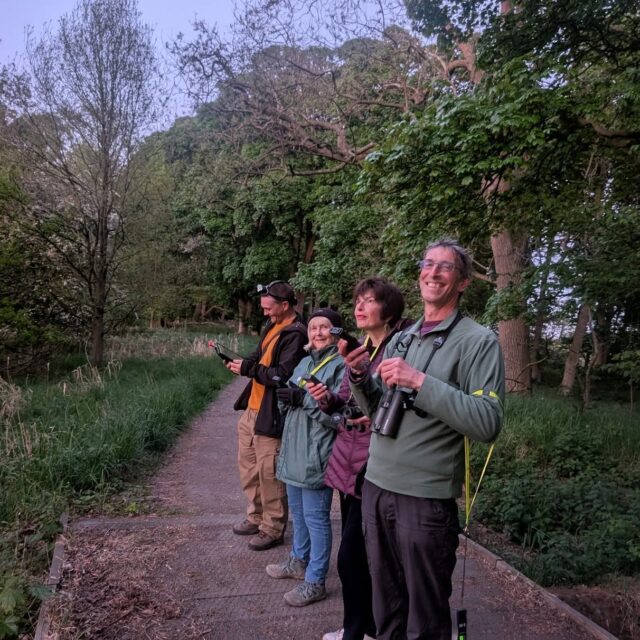 Exciting New Role for Wildlife Enthusiasts Along the Ouse Burn Valley