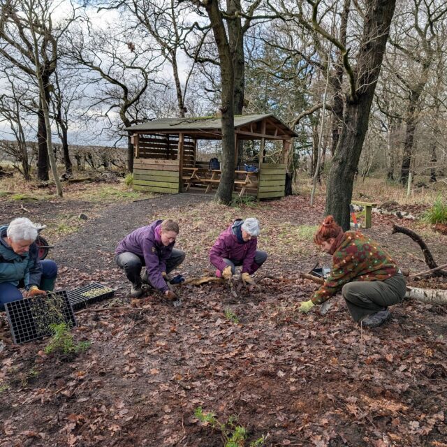 Ouse Burn Way and NHSN Partnership Delivers a Thriving Start to 2026