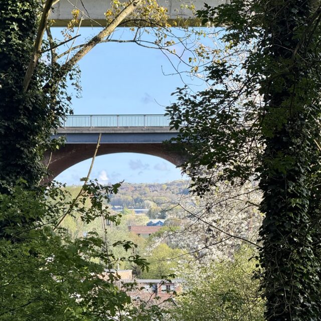 Spring wildlife returns to Wild Ouseburn